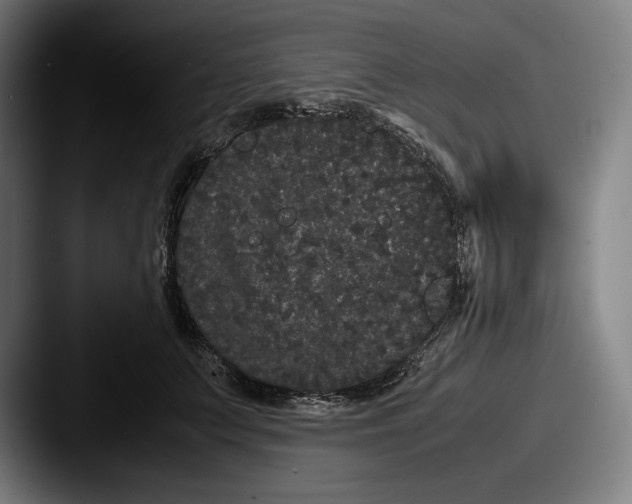 X0000087580703200705181201