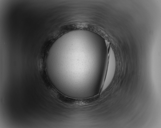 X0000087580704200705181201