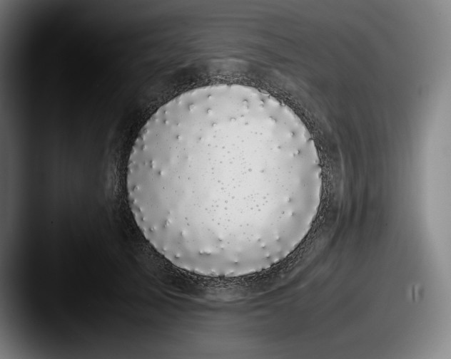 X0000087580705200705181201