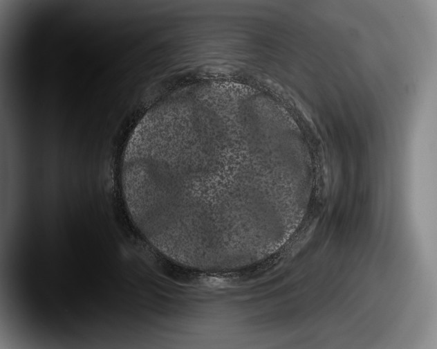 X0000087580706200705181201