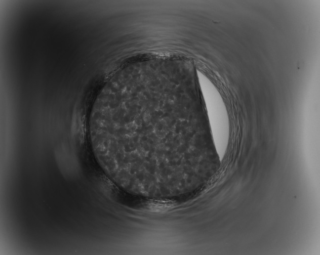 X0000087580707200705181201
