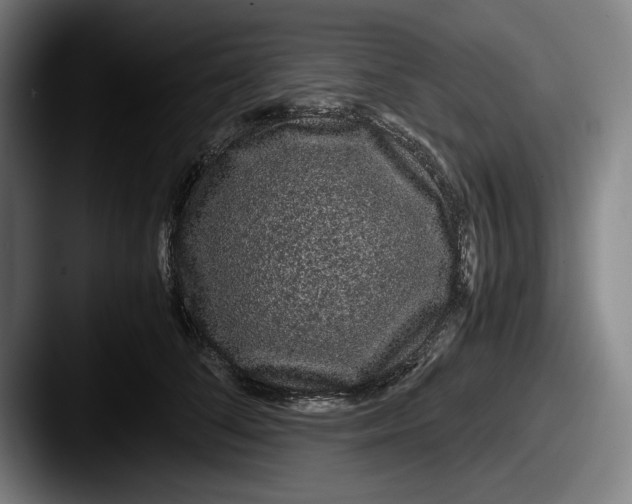 X0000087580708200705181201