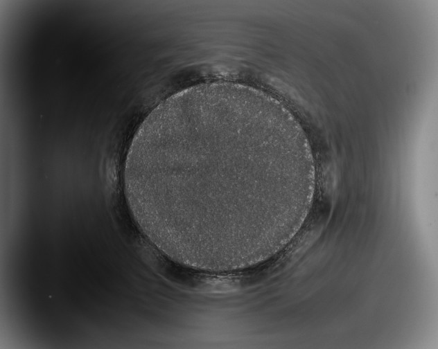 X0000087580709200705181201
