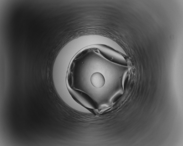 X0000087580712200705181201