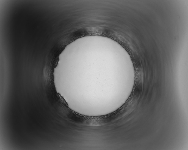 X0000087580713200705181201