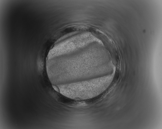 X0000087580715200705181201
