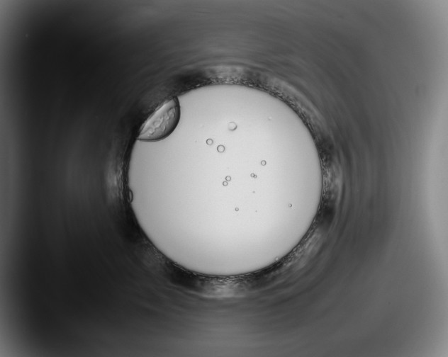 X0000087580717200705181201