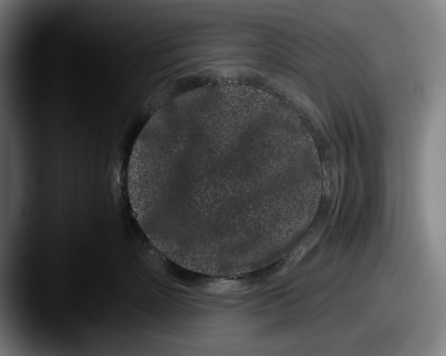 X0000087580718200705181201