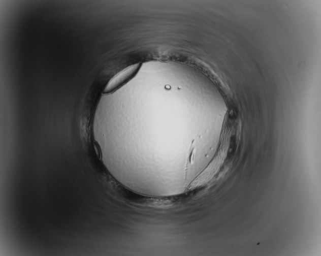 X0000087580719200705181201
