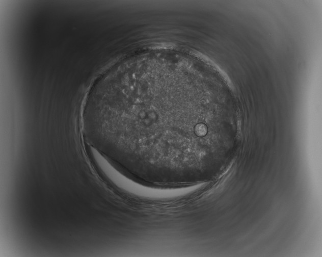 X0000087580721200705181200