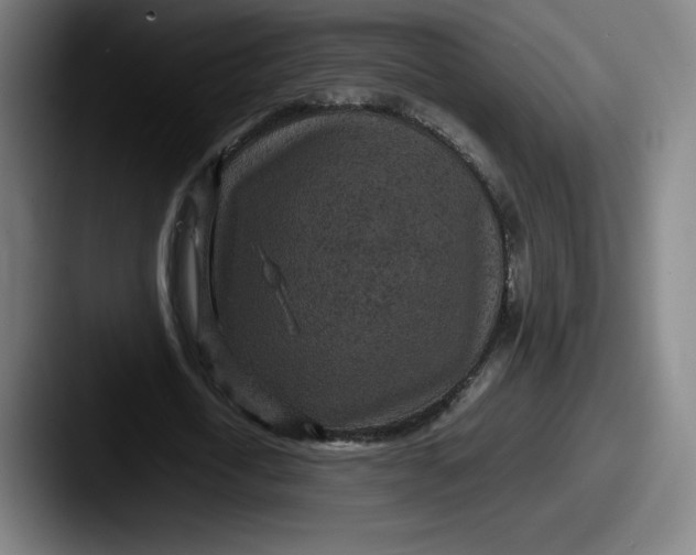 X0000087580722200705181200