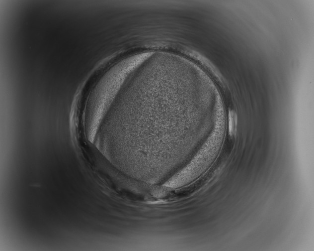 X0000087580723200705181200