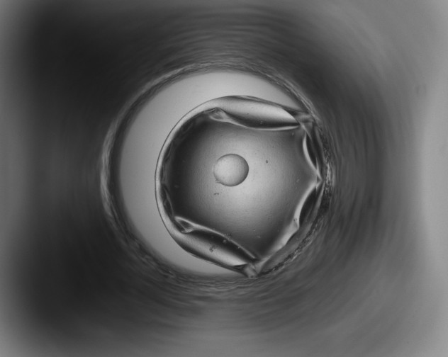 X0000087580724200705181200