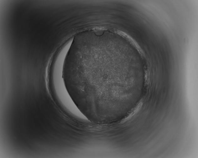 X0000087580725200705181200