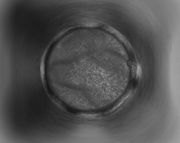 X0000087580726200705181200