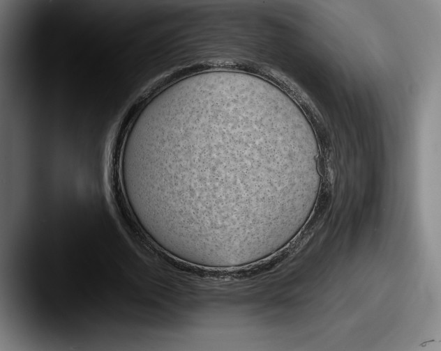X0000087580728200705181200