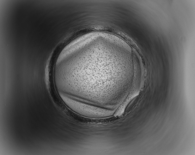 X0000087580730200705181200