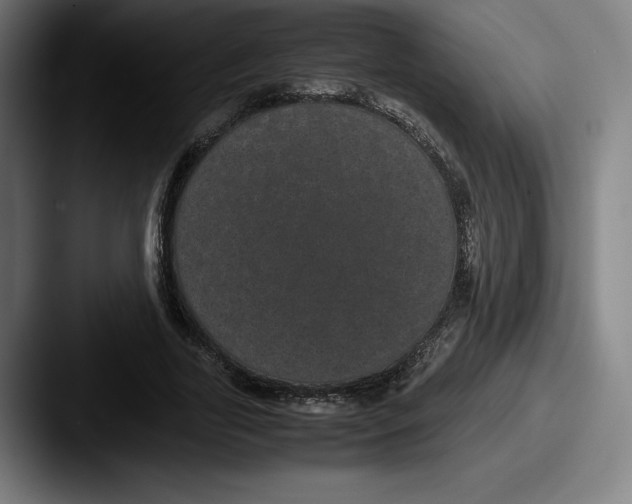 X0000087580731200705181200