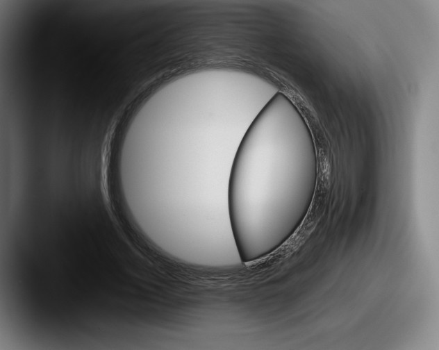 X0000087580732200705181200