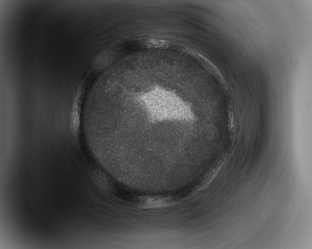 X0000087580733200705181200
