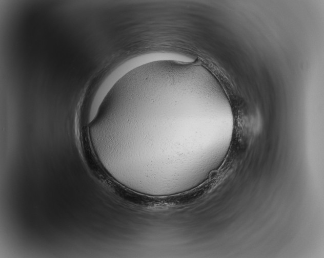 X0000087580734200705181200