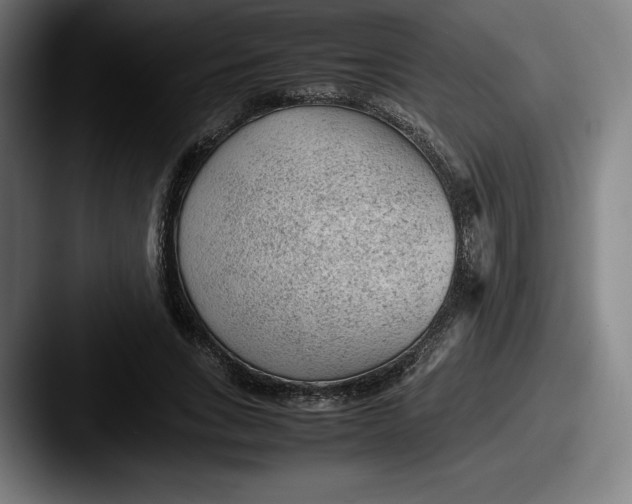 X0000087580735200705181200