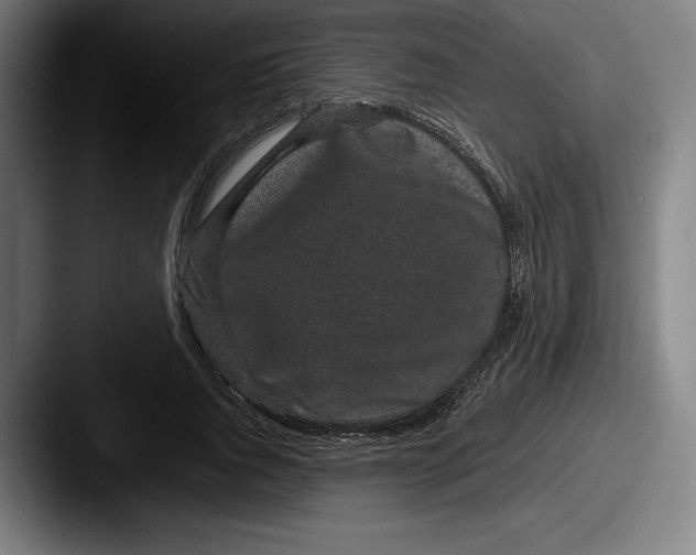 X0000087580736200705181200