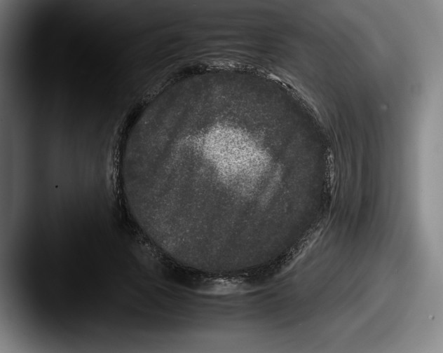 X0000087580737200705181200