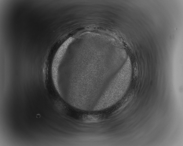 X0000087580739200705181200