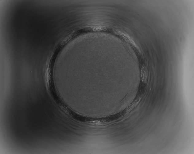 X0000087580740200705181200