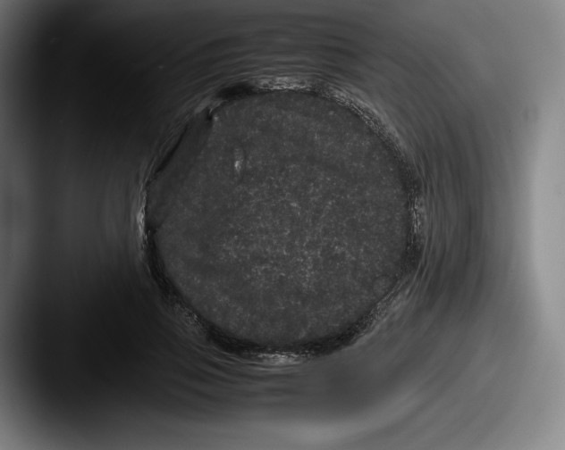 X0000087580741200705181200