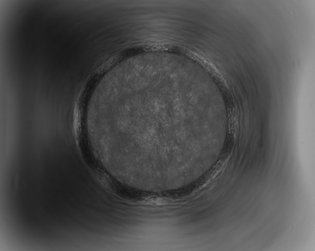X0000087580742200705181200