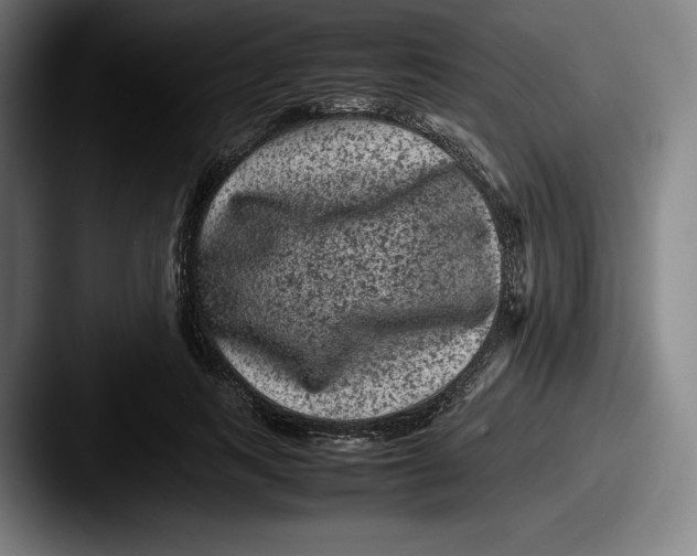X0000087580743200705181200