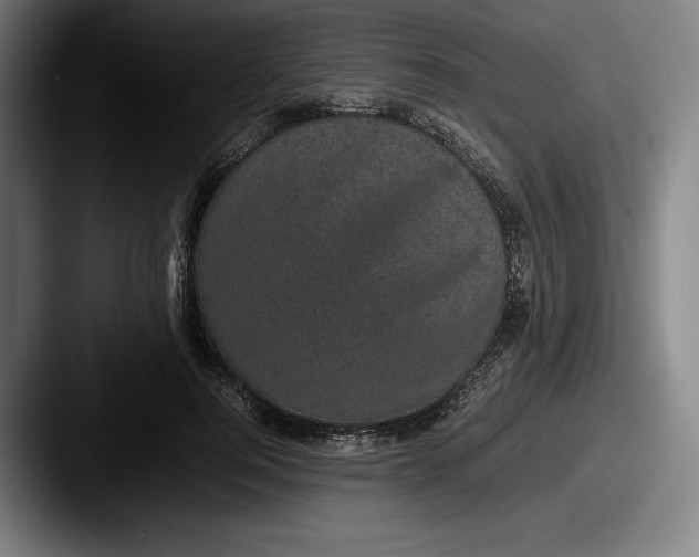 X0000087580744200705181201