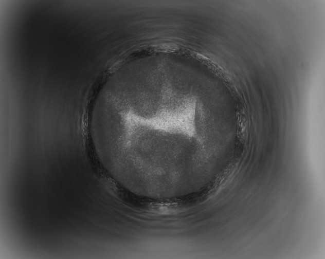 X0000087580745200705181201