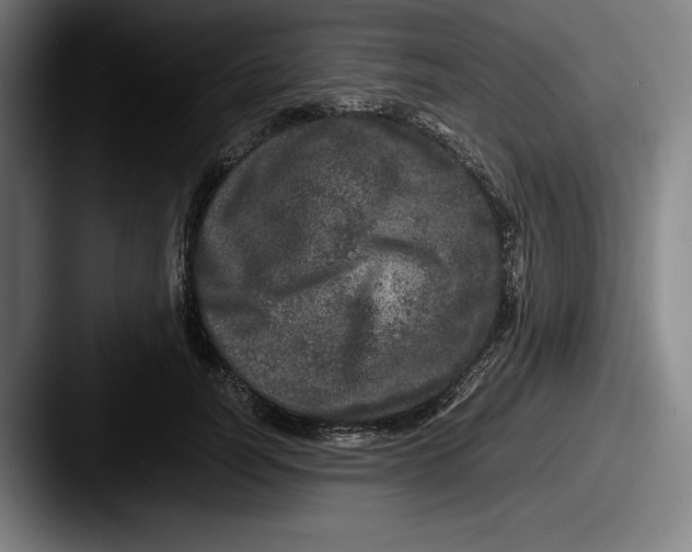 X0000087580746200705181201