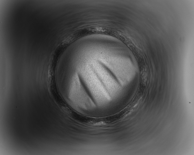 X0000087580747200705181201