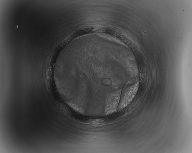 X0000087580748200705181201