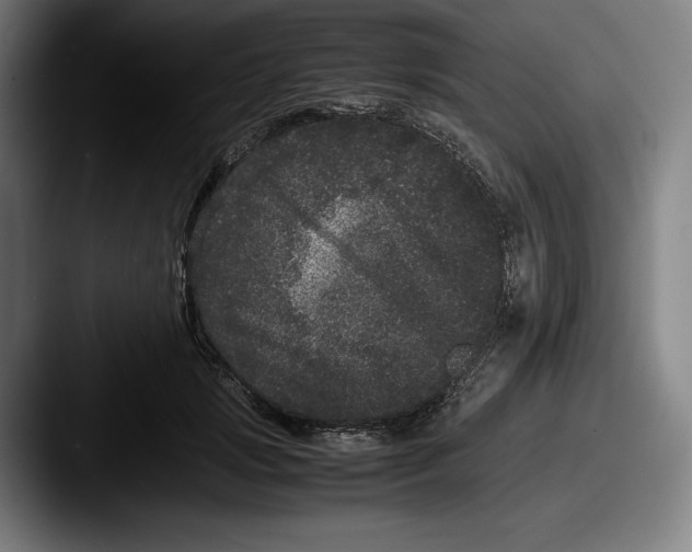 X0000087580749200705181201