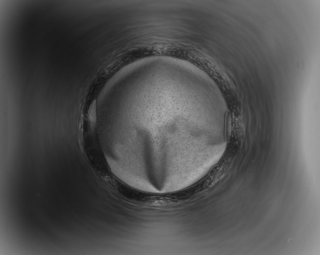 X0000087580750200705181201
