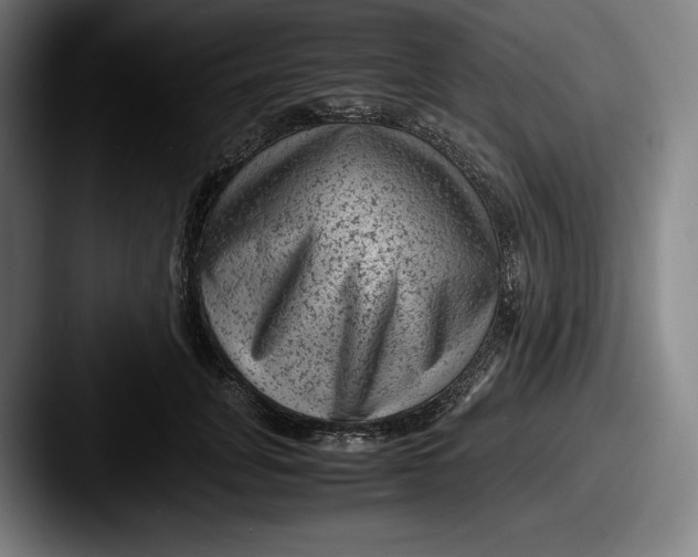 X0000087580751200705181201