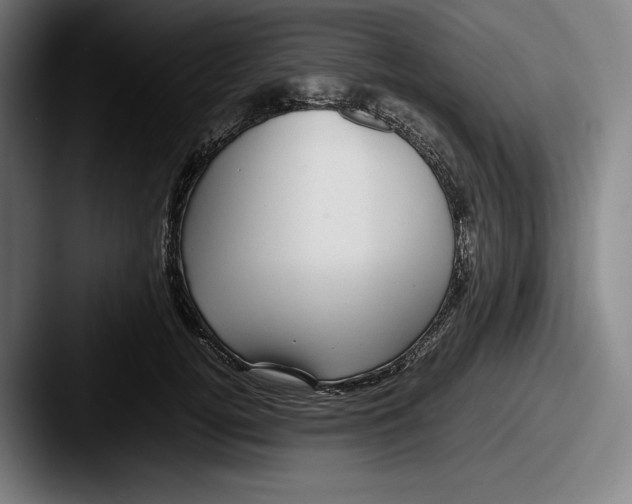 X0000087580752200705181201