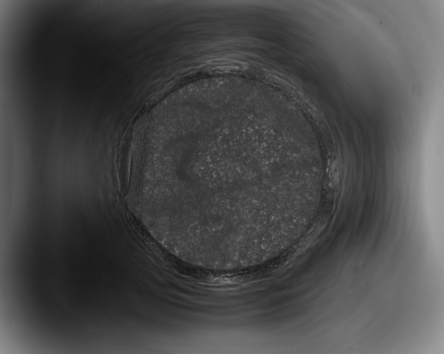 X0000087580753200705181201