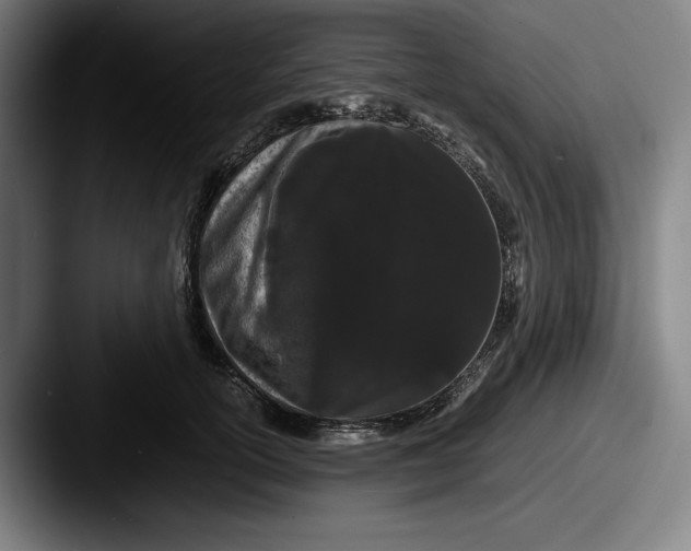 X0000087580754200705181201