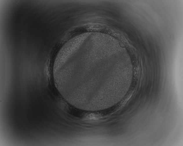 X0000087580755200705181201