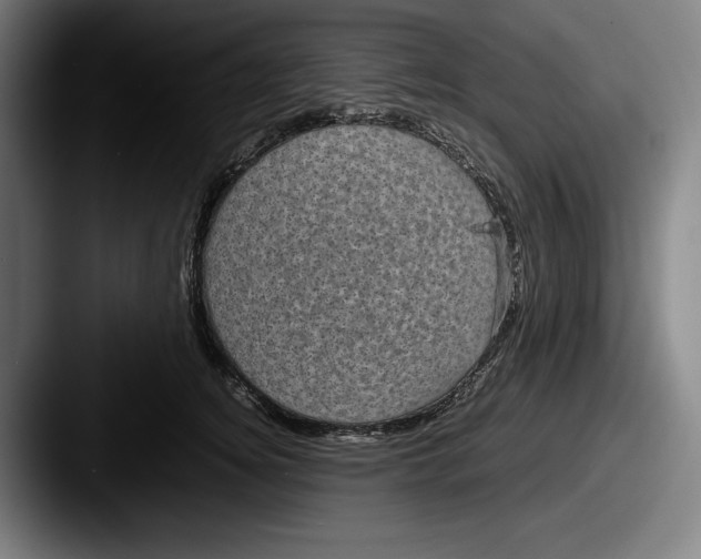 X0000087580756200705181201