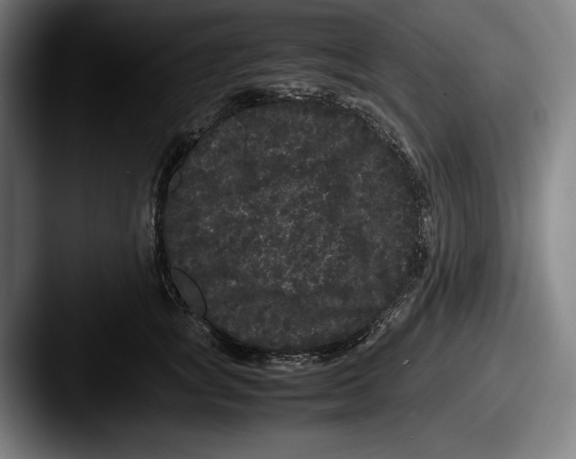X0000087580757200705181201