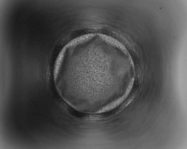 X0000087580758200705181201