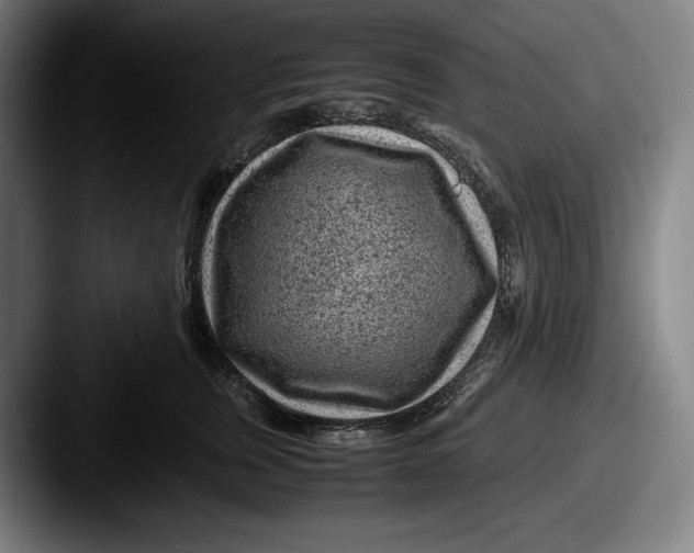 X0000087580759200705181201