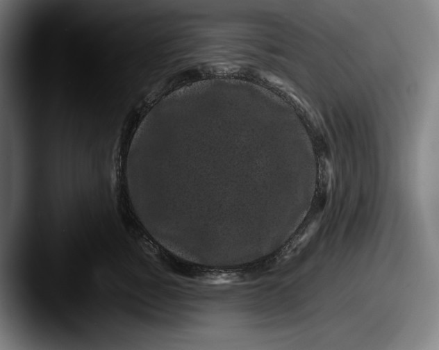 X0000087580760200705181201